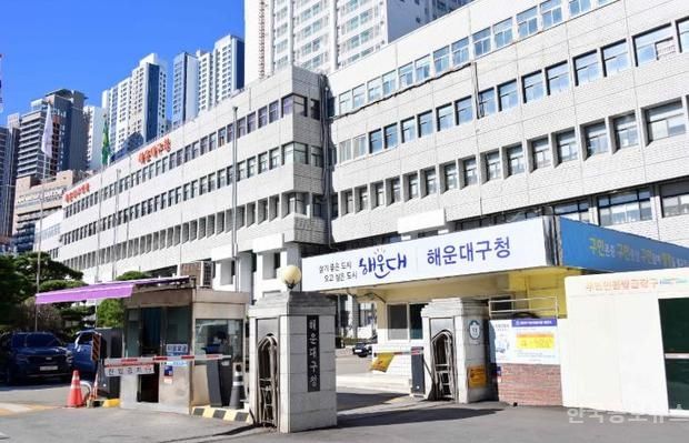 해운대구, '다시 봄 SOLO' 사회관계망 형성 프로그램 추진 기사 사진