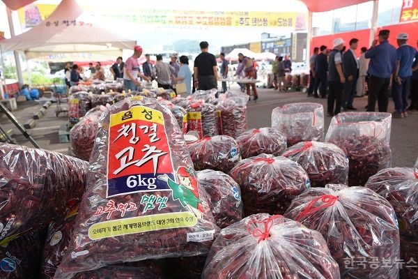 음성군, 청결고추 직거래장터 8월 12일 개장 기사 사진