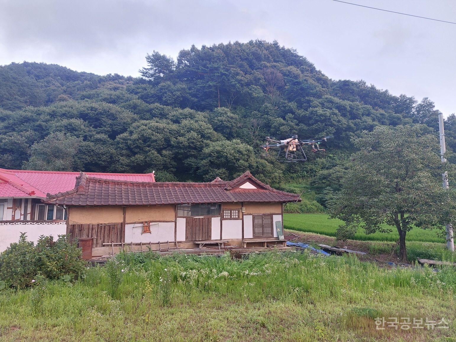 기사 사진