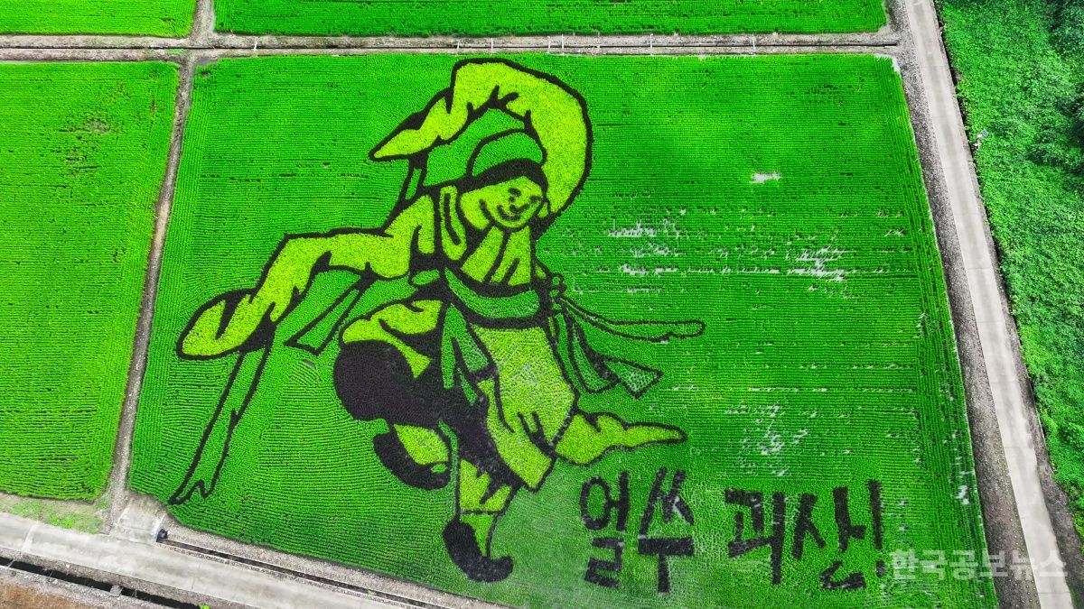 기사 사진