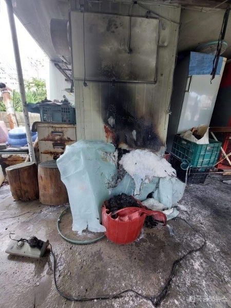 기사 사진