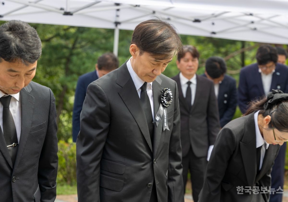 조국, 김대중 전 대통령 묘역 참배 "국민의힘 반 이상 줄여야" 기사 사진