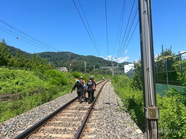 청도서 무궁화호 열차에 선로 작업자 7명 치여 2명 사망…국토부 "원인 조사" 기사 사진