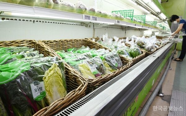  7월 생산자물가 0.4%↑ 두달 연속 상승 "시금치 171.6% 올라" 기사 사진