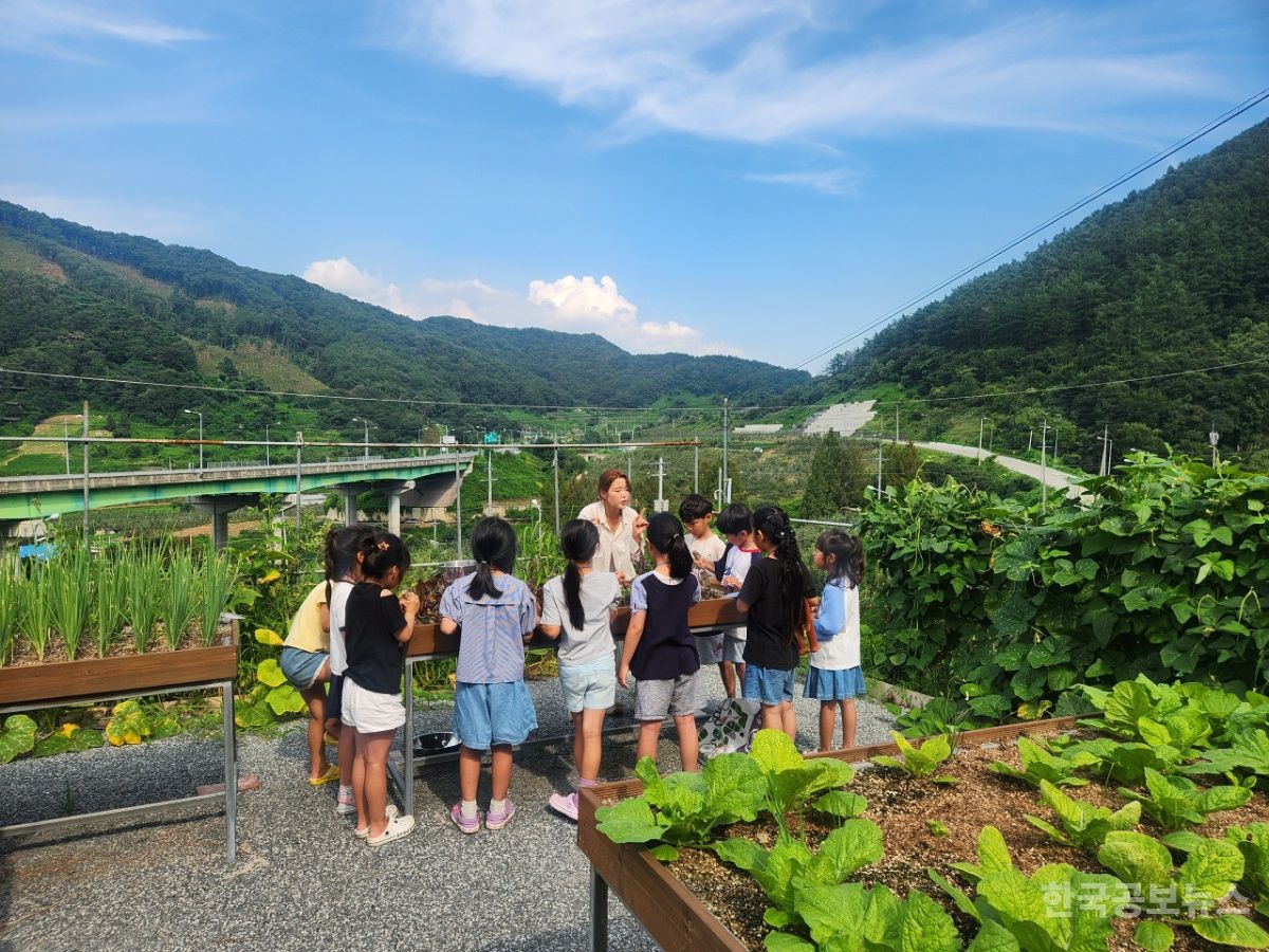 농업에서 찾는 치유! 괴산군, 아동대상 농촌치유 프로그램 운영 기사 사진