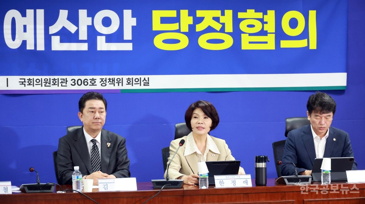 당정 "내년 R&D 예산 역대 최대 편성·지역사랑상품권 발행 지원 예산 적극 반영"  기사 사진