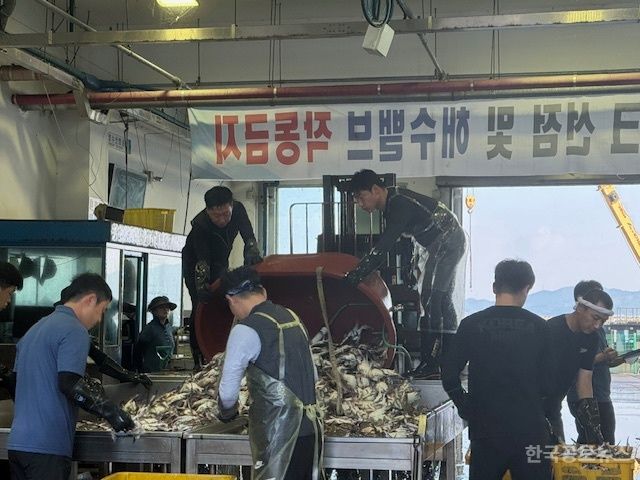 보령시, 꽃게 금어기 해제로 본격 가을 조업 시작 기사 사진