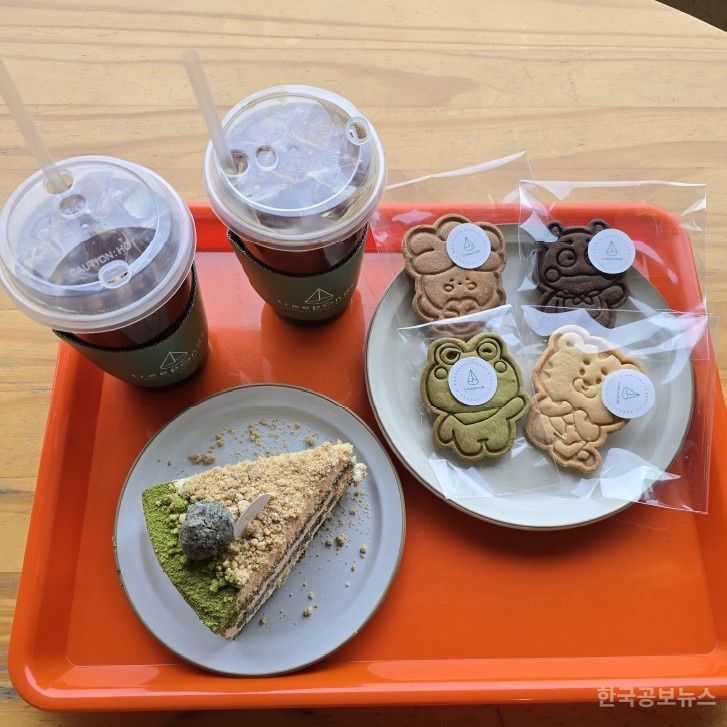 기사 사진